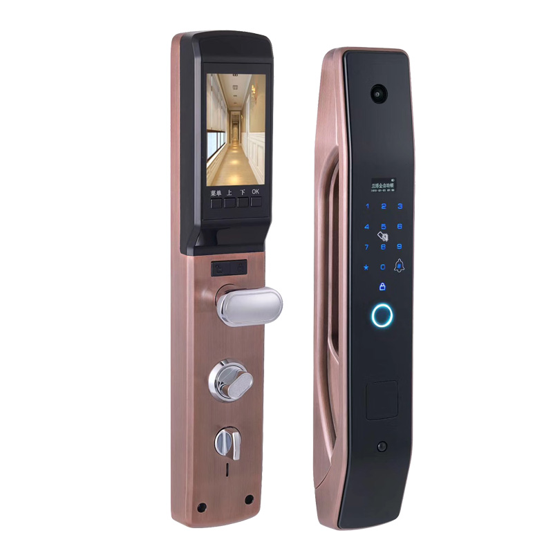 HanDaily Простота установки Ин – обзор и цена Smart Home Door Lock